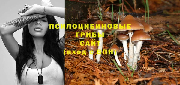 ECSTASY Каменногорск
