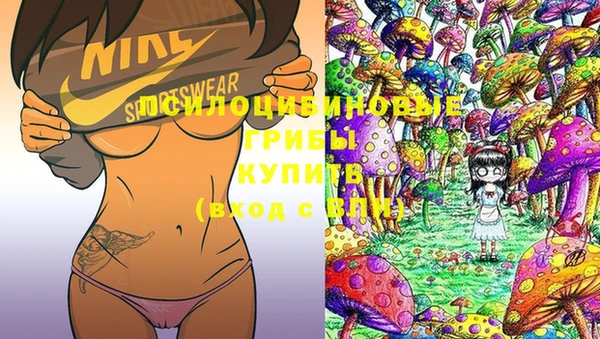 MESCALINE Каменка