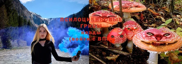 прущие крисы Зеленокумск