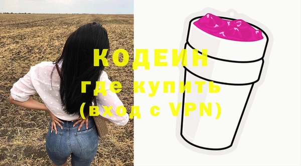 шишки Иннополис