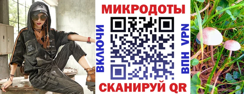 Купить где Грязи Псилоцибиновые грибы Cubensis